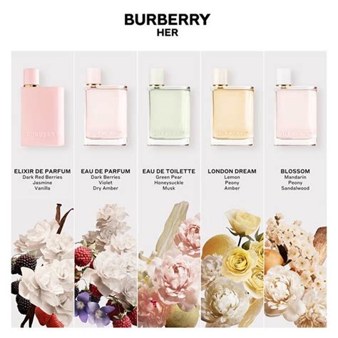 burberry 西裝 size|burberry her fragrance.